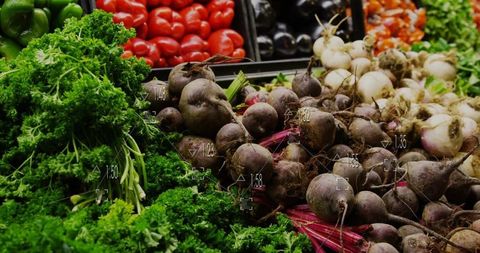 Vibrant variety of fresh vegetables at market display