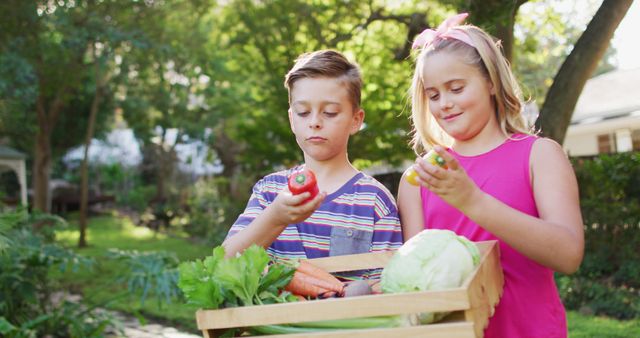 Smiling caucasian brother and sister standing in garden holding box of vegetables, playing with them. happy family spending free time at home.