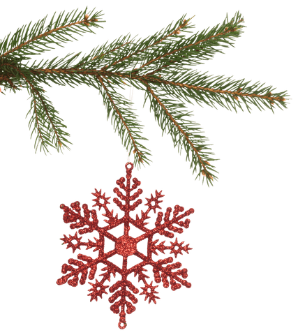 transparent red glitter snowflake ornament on pine branch - Download Free Stock Videos Pikwizard.com