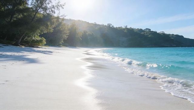 Sunlit curving white sand beach turquoise cove pine tree shadows calm waves