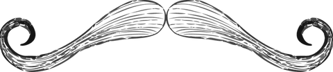 Handlebar Moustache Illustration Transparent Background - Download Free Stock Videos Pikwizard.com