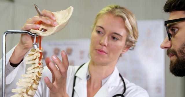 Medical Professionals Demonstrating Human Spine Model in Clinic - Download Free Stock Images Pikwizard.com