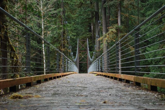 Rustic wooden suspension bridge stretches across forested landscape, perfect representation of nature's beauty and adventure opportunities. Utilized in travel brochures, outdoor magazines, nature-themed websites. Ideal for illustrating wilderness hikes, naturist retreats, environmental conservation topics.
