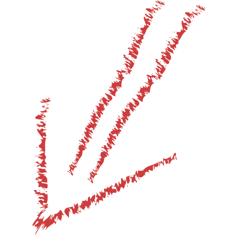 red hand-drawn arrow on transparent background - Download Free Stock Videos Pikwizard.com