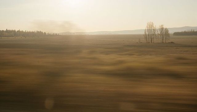 Sunlit prairie motion blur capturing lone leafless grove on golden plains during sunset