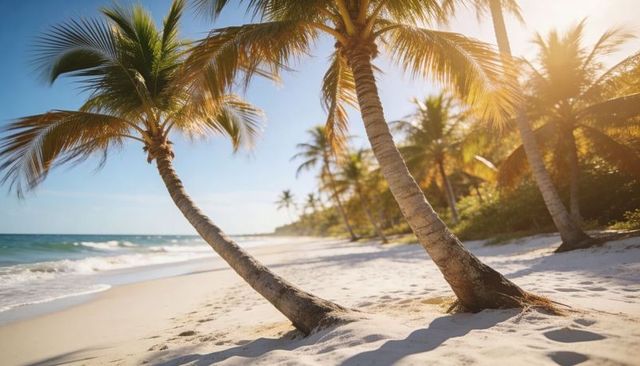 Leaning coconut palms bending over white sand beach with turquoise water and sunlight