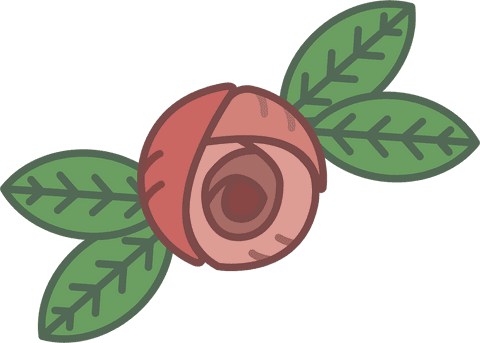 Abstract Pink Rose with Leaves on Transparent Background