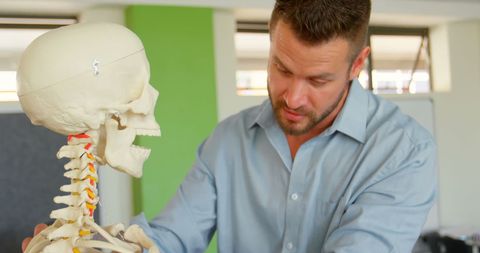 Teacher Explaining Anatomy with Skeleton Model in Classroom - Download Free Stock Images Pikwizard.com