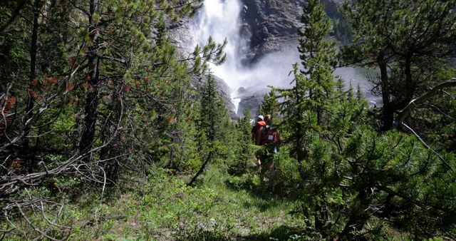 Hiker with backpack exploring a lush, green forest with a powerful waterfall in the background. Mist from the waterfall is visible among the dense foliage of pine trees. Perfect for themes related to nature, adventure, exploration, and outdoor activities.