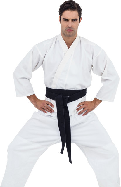 Karate Instructor in Strong Pose on Transparent Background - Download Free Stock Videos Pikwizard.com