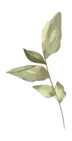 Transparent stylish pastel botanical branch illustration art