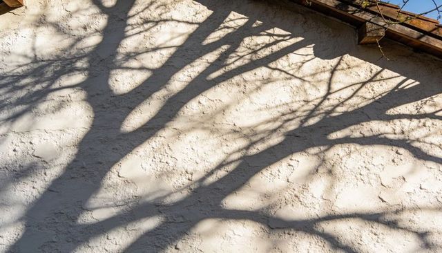 Sunlit tree branches casting dramatic shadows on textured stucco wall and roof eave