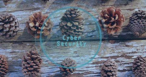 Futuristic cyber security concept with pine cones on weathered wood