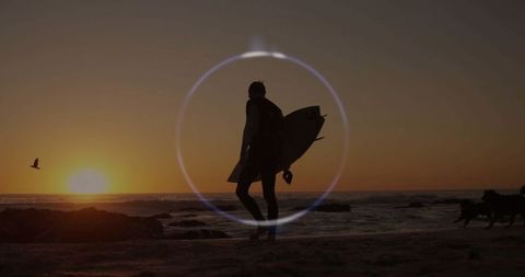 Silhouette of Surfer at Coastal Sunset with Wildlife