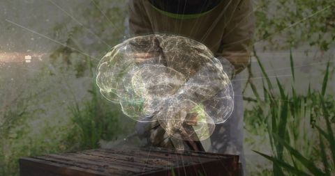 Beekeeper Effort Technology Merge Brain Mindful Conservation Science