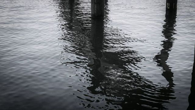 Wooden pilings casting rippled reflections on harbor water at low light monochrome seascape