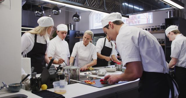 Professional Chefs Preparing Gourmet Meals in Modern Kitchen - Download Free Stock Images Pikwizard.com