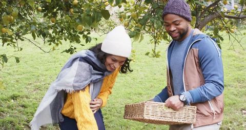 Couple picking apples under low-hanging tree in autumn orchard holding wicker basket, smiling