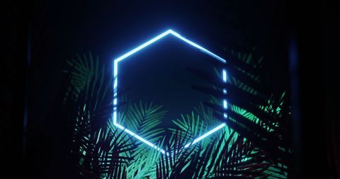 Illuminating neon hexagon surrounded by tropical leaves