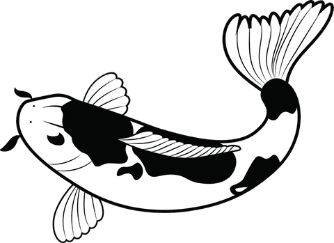koi fish with flowing fins in elegant transparent illustration - Download Free Stock Videos Pikwizard.com