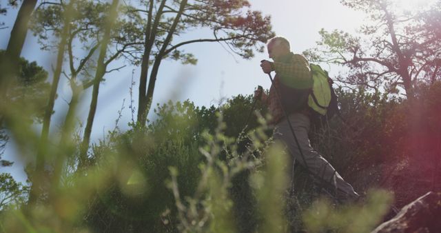 Man Hiking Through Forest Trail With Sunlight Filtering Through - Download Free Stock Images Pikwizard.com