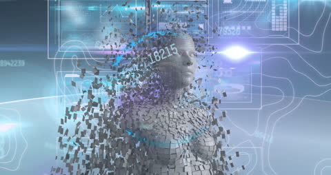 Digital Fusion: Human Model with Dynamic Data Elements