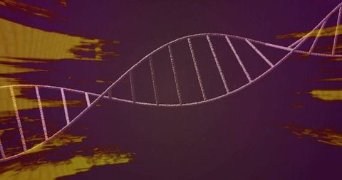 Abstract DNA Helix Winding Across Deep Purple Background with Golden Streaks