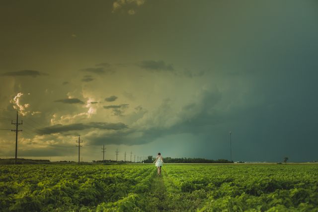 Person walking in a vast field while dark storm clouds loom overhead. The dramatic sky contrasts with the green field, highlighting the solitude of the individual. Useful for themes related to agriculture, weather, dramatic scenery, and rural solitude. Can be used in environmental blogs, weather reports, and agricultural advertisements.