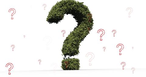 greenery question mark and red twirling questions - Download Free Stock Images Pikwizard.com