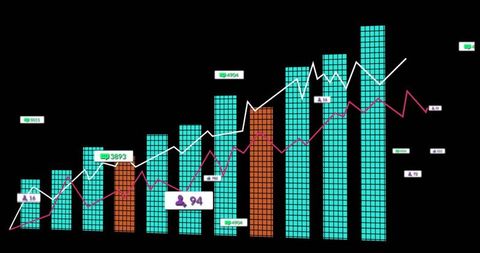 Interactive financial dashboard with bar and line graphs