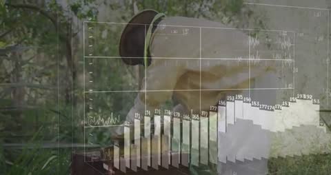 Elderly Beekeeper Monitors Hive Data with Digital Visualization