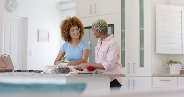 Smiling Women Organize Groceries in Modern Kitchen - Download Free Stock Images Pikwizard.com