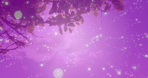 Enchanted Tree Branches Glowing in Purple Dusk