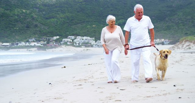 An elderly couple walks along a sandy beach with their pet dog while enjoying a relaxing day. Coastal houses and green hills are visible in the background. Ideal for use in advertisements, travel brochures, retirement living promotions, and articles related to healthy living and leisure activities for seniors.