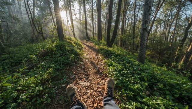 First-person hiking on misty sunlit forest trail with brown boots on leaf-strewn path