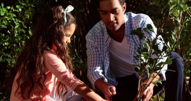 Father and Daughter Gardening Together Planting Tree in Backyard - Download Free Stock Images Pikwizard.com