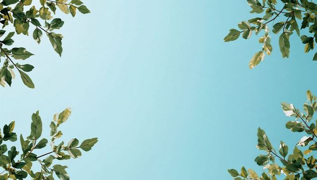 Framing turquoise sky with sunlit green leaves, open center for text and design