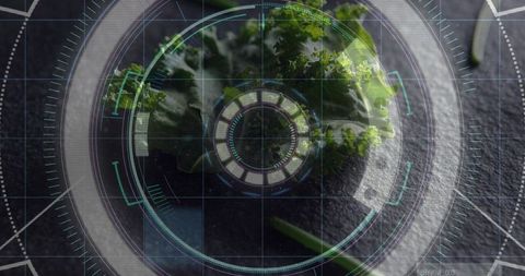 Kale under futuristic hud scan on dark slate top-down closeup for food tech concept