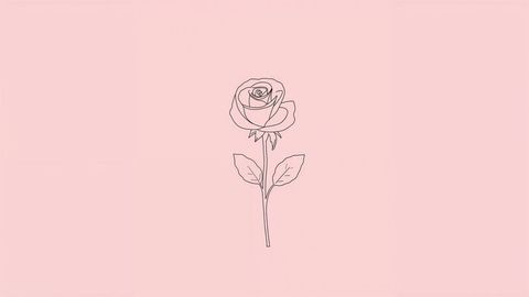 Botanical line art rose drawing on pastel pink