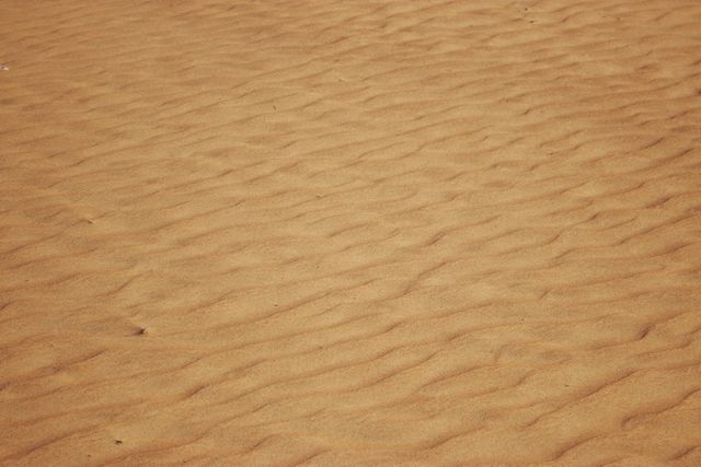 Aerial View of Rippling Sand Dunes in a Desert Landscape - Download Free Stock Photos Pikwizard.com