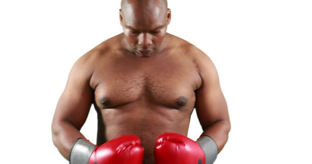 Focused Boxer in Red Boxing Gloves Preparing for Fitness Training - Download Free Stock Images Pikwizard.com