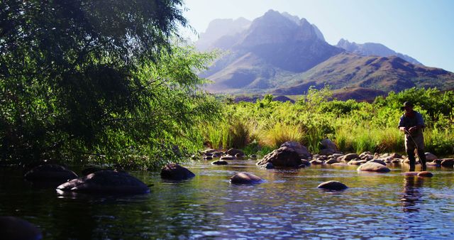 Man Fly Fishing in Lush Mountain Stream with Vibrant Green Foliage - Download Free Stock Images Pikwizard.com