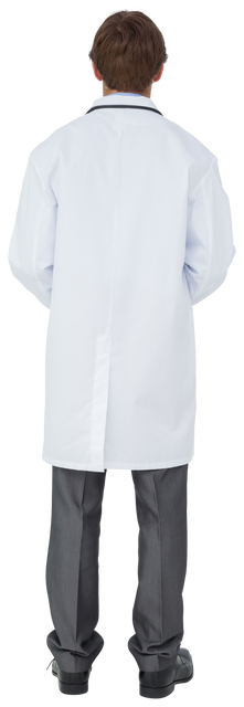 Back View of Male Doctor in White Coat on Transparent Background - Download Free Stock Videos Pikwizard.com