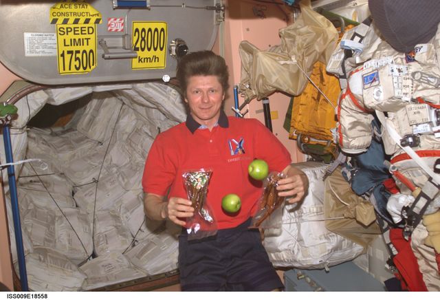 ISS009-E-18558 (15 August 2004) --- Cosmonaut Gennady I. Padalka, Expedition 9 commander representing Russia's Federal Space Agency, holds packages of food, as two apples float freely near him, in the Unity node of the International Space Station (ISS). The food was recently unloaded from the Progress 15 supply vehicle docked to the Station. The functional cargo block (FGB) or Zarya hatchway is visible in the background.