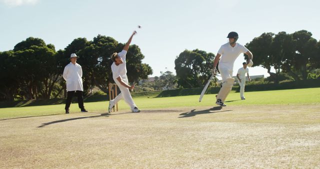 Intense Cricket Match on Sunny Day with Bowler and Batsman in Action - Download Free Stock Images Pikwizard.com