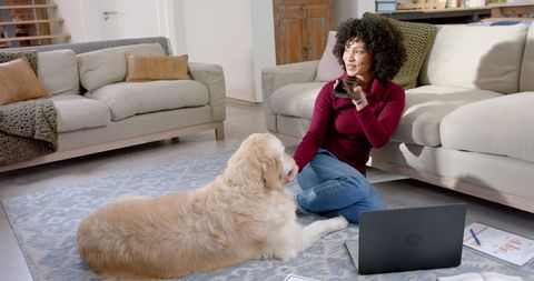 Woman Relaxing with Dog While Working from Home - Download Free Stock Images Pikwizard.com