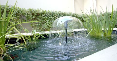 Tranquil garden fountain with splashing water amidst greenery