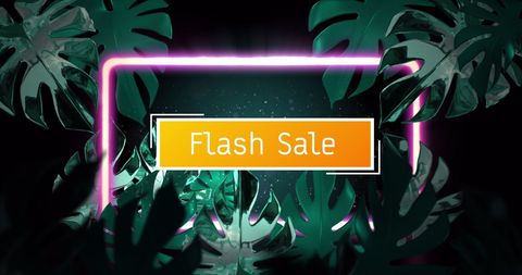 flash sale neon frame with tropical leaves background - Download Free Stock Images Pikwizard.com