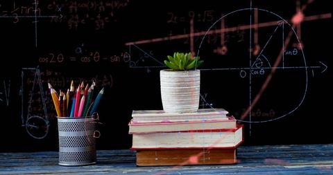 Colorful Pencils and Books with Plant on Desk Against Chalkboard - Download Free Stock Images Pikwizard.com