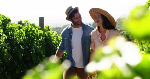 Young Caucasian Couple Strolling in Vineyard on Sunny Day - Download Free Stock Images Pikwizard.com